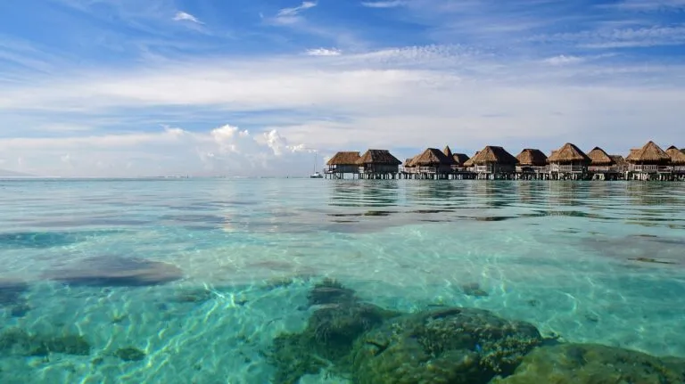 club med polynesie
