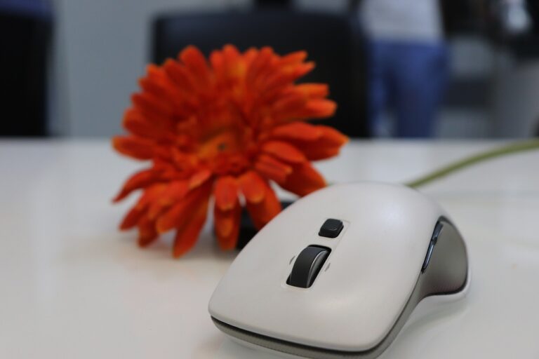 Souris ergonomique : un outil efficace pour prévenir les TMS au bureau