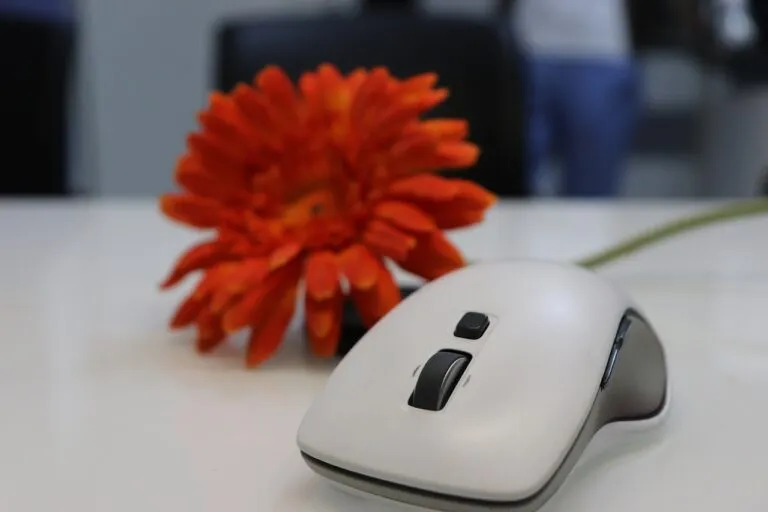 Souris ergonomique : un outil efficace pour prévenir les TMS au bureau