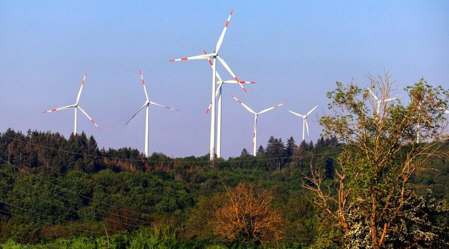 Les_cabinets_de_conseil_en_énergie_au_service_des_entreprises