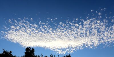 Les_parasols_professionnels_résistants_au_vent_fort_:_un_investissement_essentiel_pour_votre_commerce